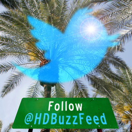 Следить за последними новостями с конференции на Twitter (@HDBuzzFeed)