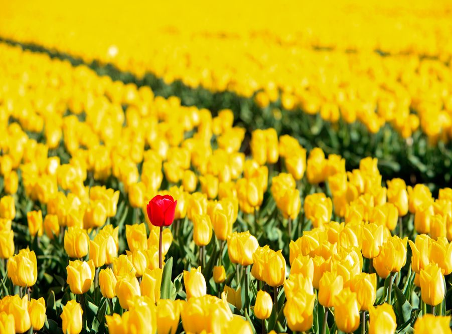 Новый тест может улучшить ситуацию в будущем для небольшого меньшинства людей, которым ранее потребовался бы более длительный двухэтапный процесс для получения точного результата теста.