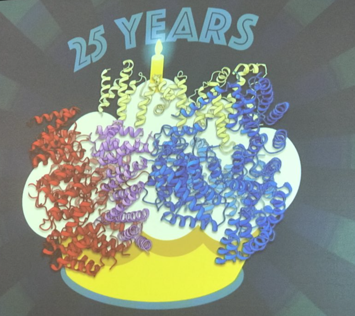 Структура белка гентингтина, представленная Др. Кочанеком в качестве праздничного торта на 25-летний юбилей со дня открытия гена БГ  