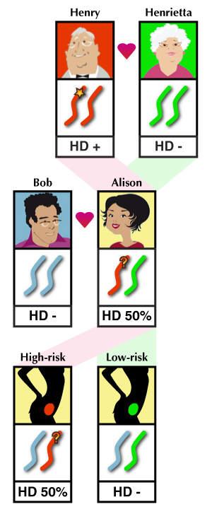 Как работает исключающее тестирование. Любой плод, зачатый Элисон и Бобом, унаследует копию хромосомы 4 от Генри или Генриетты. Хромосомы, унаследованные от Генри, могут нести мутацию БГ. Исключающее тестирование показывает, какие беременности унаследовали копию хромосомы 4 от Генриетты и, следовательно, «низкий риск» для наследования заболевания.  