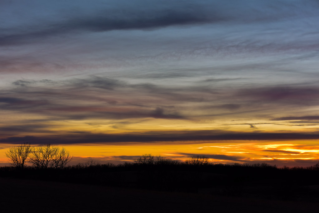 Опубликовано: пероральный препарат бранаплам снизил уровень хантингтина, но проблемы с безопасностью остановили разработку