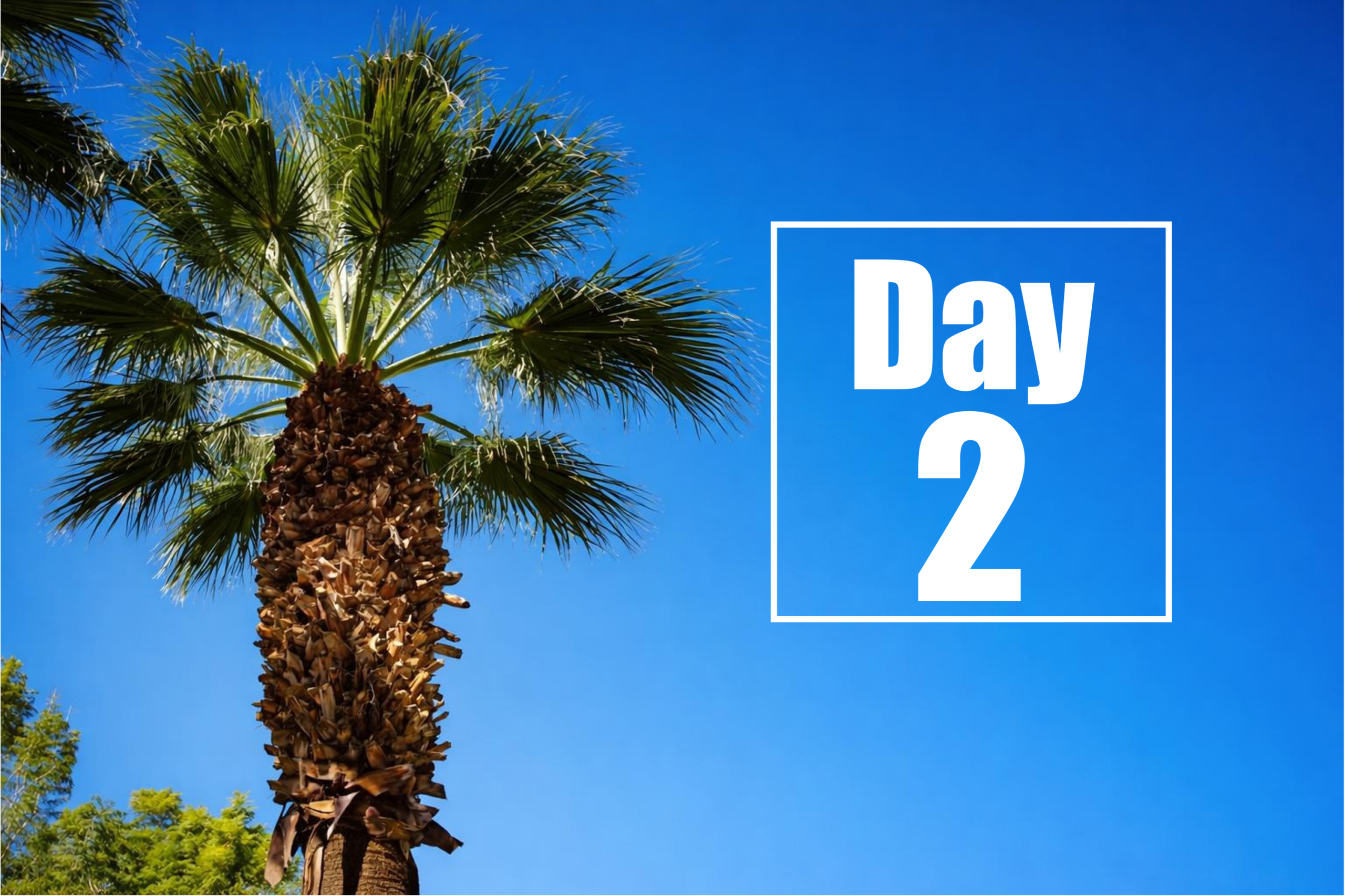 Конференция по терапии болезни Гентингтона 2026 – День 2