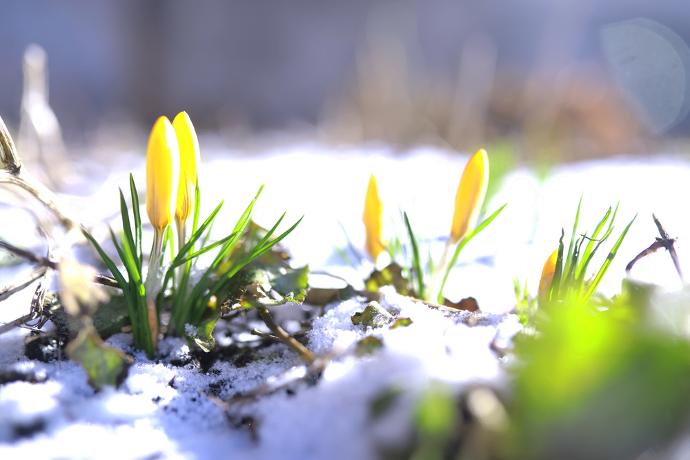 Март 2026: Этот месяц в исследованиях болезни Гентингтона